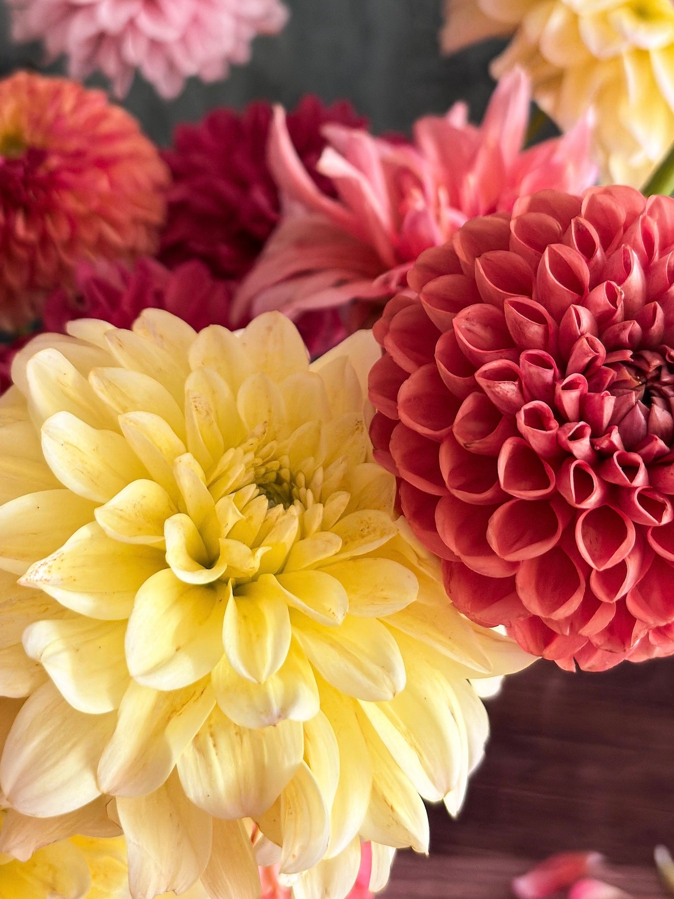 Atelier bouquet de fleurs fraiches de saison