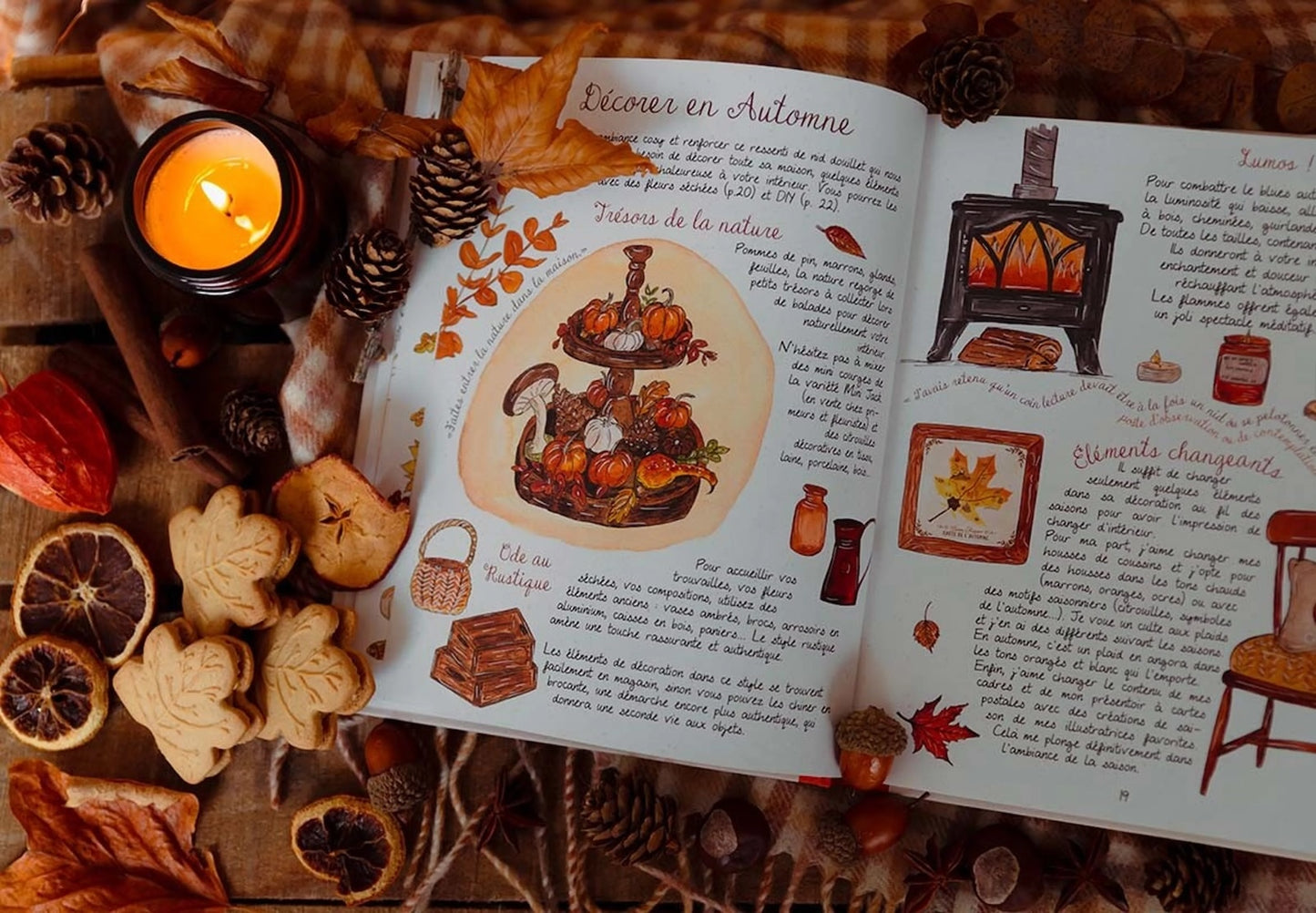 Livre Mon Automne Cosy Caro From Woodland