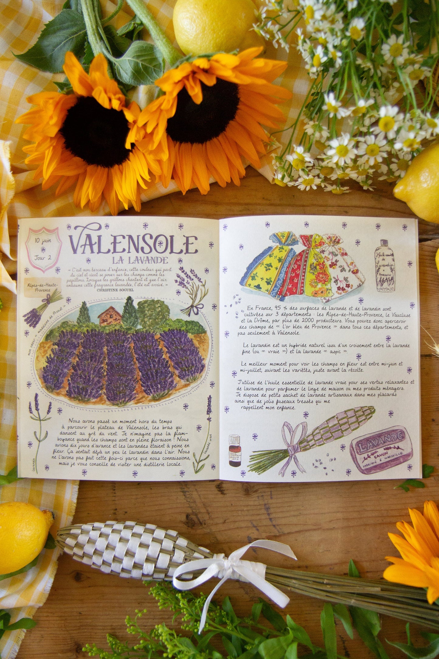 Livre Mon Eté Cosy Caro From Woodland