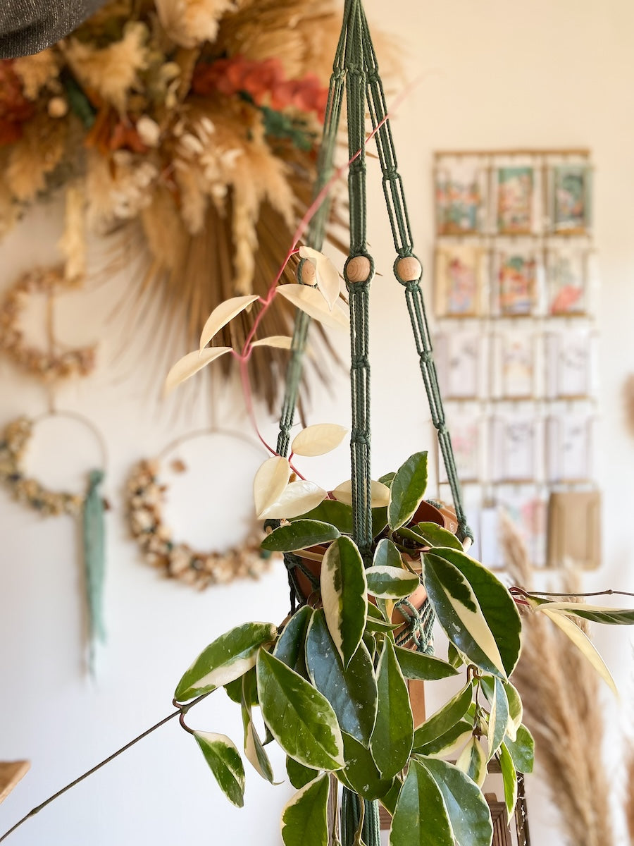 Atelier suspension de plante en macramé